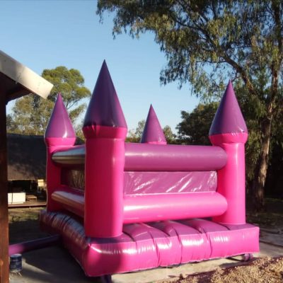 Standard Pink & Purple